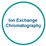 Ion Exchange Chromatography